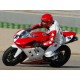 Tête de fourche racing petit format version 1 fibre de verre 848, 1098, 1198 SRT FAIRINGS