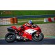 Tête de fourche racing petit format version 2 fibre de verre 848, 1098, 1198 SRT FAIRINGS