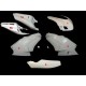 Carénage complet 5 parties fibre de verre  749 03-04, 999 03-04 SRT FAIRINGS