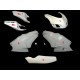 Carénage complet 5 parties fibre de verre 749 05-06, 999 05-06 SRT FAIRINGS