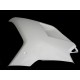 flanc gauche fibre de verre 848, 1098, 1198 SRT FAIRINGS