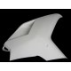 flanc droit fibre de verre 848, 1098, 1198 SRT FAIRINGS