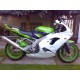 Sabot fibre de verre ZX-9R 1998-2003 SRT FAIRINGS