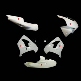 Carénage complet racing 5 parties fibre de verre ZX-9R 1998-1999 SRT FAIRINGS