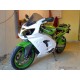 Tête de fourche route petit format fibre de verre ZX-9R 2000-2003 SRT FAIRINGS