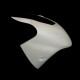 Tête de fourche racing fibre de verre ZX-12R 2000-2001 SRT FAIRINGS