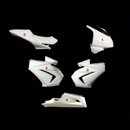 Carénage complet racing 5 parties fibre de verre ZX (EX) 250 Ninja 2008-2012 SRT FAIRINGS