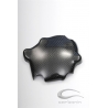 Protection de carter allumage en carbone LIGHTECH KAWASAKI ZX6R 2005-2006