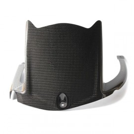 Garde-boue arrière carbone LIGHTECH ZX10R 2011-2026
