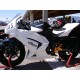 Coque arrière racing fibre de verre ZX (EX) 250 Ninja 2008-2012 SRT FAIRINGS