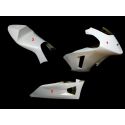 Carénage poly complet 3 parties fibre de verre MOTO2 ICP SRT FAIRINGS