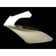 Tête de fourche racing fibre de verre MOTO3 Honda NSF 250R SRT FAIRINGS