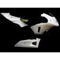 Carénage poly complet 3 parties version 2 fibre de verre MOTO2 ICP SRT FAIRINGS