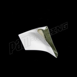 Canal d'entrée d'air d'origine fibre de verre S1000RR 2015-2018 SRT FAIRINGS