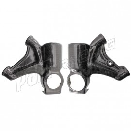 Protections de fourche carbone CARBONIN R1 2015-2019