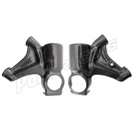 Protections de pied de fourche carbone CARBONIN R1 2015-2019