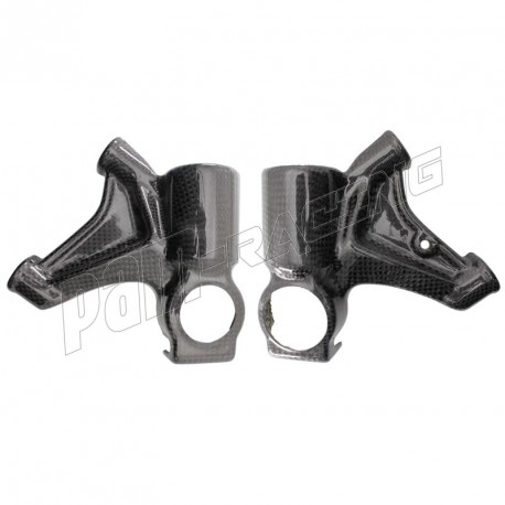 Protections de pied de fourche carbone CARBONIN R1 2015-2019