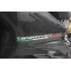 Flanc gauche carbone CARBONVANI Ducati 899, 1199 Panigale