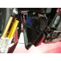 Centre de sabot CARBONVANI Ducati 848 / 1098 / 1198