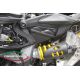Protection de culasse carbone Panigale 899, 959, 1199, 1299 CARBONVANI