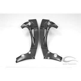 Protections de cadre carbone CARBONIN R1 2009-2014