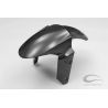 Garde-boue avant carbone ZX6R 2009-2020, ZX10R 2011-2015, Z800 2013-2016 CARBONIN