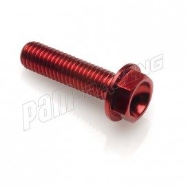 Vis aluminium tête héxagonale M6x60 mm rouge LIGHTECH