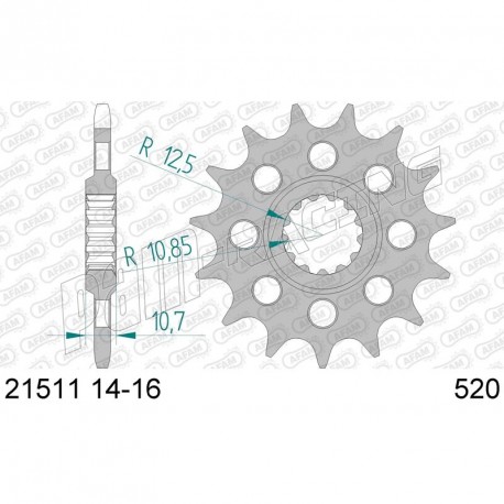 Pignon de sortie de boite 520 R6 2006-2024 AFAM