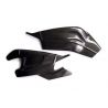 Protections de bras oscillant carbone S1000RR 2015-2018, S1000R 2017-2020 Lightech