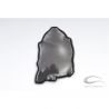 Cache carter allumage carbone CARBONIN YAMAHA R6 2006-2022