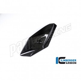 Flanc de tête de fourche racing carbone ILMBERGER S1000R 2014-2019