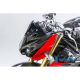 Flanc de tête de fourche racing carbone ILMBERGER S1000R 2014-2019