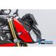 Flanc de tête de fourche racing carbone ILMBERGER S1000R 2014-2019