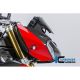 Flanc de tête de fourche racing carbone ILMBERGER S1000R 2014-2019