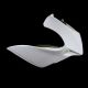 Tête de fourche racing fibre de verre 250 RSW GP 2006-2012 SRT FAIRINGS