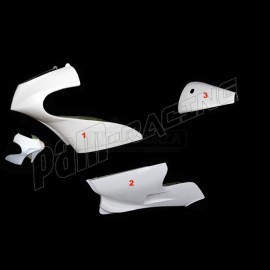 Carénage poly complet 3 parties fibre de verre 125 RSW GP 2006 SRT FAIRINGS