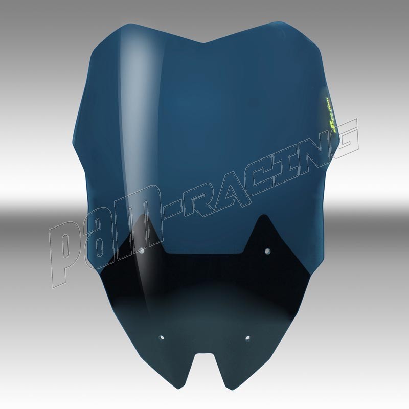 bulle haute R1200RS - Page 2 Bulle-haute-protection-secdem-r1200-rs-2015-2017