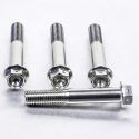 Vis d'étriers de frein inox percées M10x60 mm (1.25) PRO-BOLT Race Spec