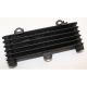 Radiateur huile TL1000S 1997-2001