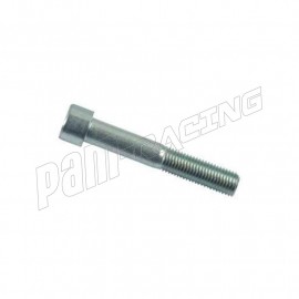 Vis M12 X 1.25 BTR pour tampons protections