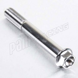 Vis à tête héxagonale inox ou titane M10x80 mm (1.25) PRO-BOLT