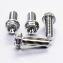 Kit 4 vis fixation étrier avant en inox M10x(1.25)x30 mm PRO-BOLT Race Spec