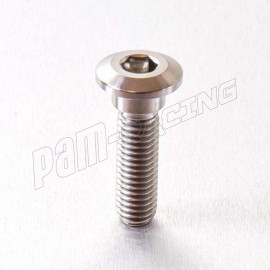 Vis de disque de frein avant  inox ou titane KAWASAKI, SUZUKI M8x30 mm (1.25) PRO-BOLT