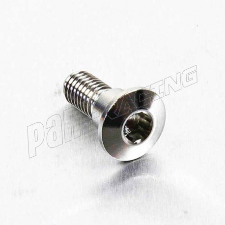 Vis de disque de frein avant SUZUKI M8x(1.25)x22 MM inox ou titane PRO-BOLT