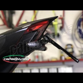 Support de plaque carbone CARBONVANI Panigale V4, V4R, V4S 2018-2023