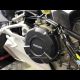 Protection carter embrayage carbone CARBONVANI Panigale V4, V4R, V4S 2018-2021