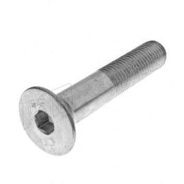 Vis M10 X 1.25 à tête fraisée 6 pans creux DIN 7991 pour tampons protections