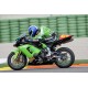 Tête de fourche racing fibre de verre ZX6RR, ZX-6R 636 05-06 SRT FAIRINGS