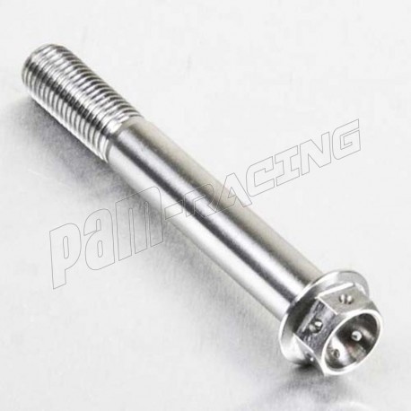 Vis à tête héxagonale Race-Spec M10x(1.25)x75 MM inox ou titane PRO-BOLT