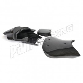 Coque arrière racing et support carbone CARBONIN R1 2015-2019